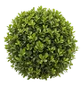 Buxinho